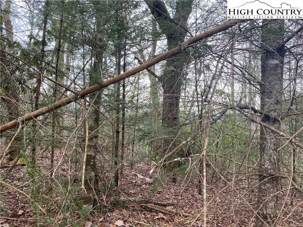 Image number 5 for the current listing