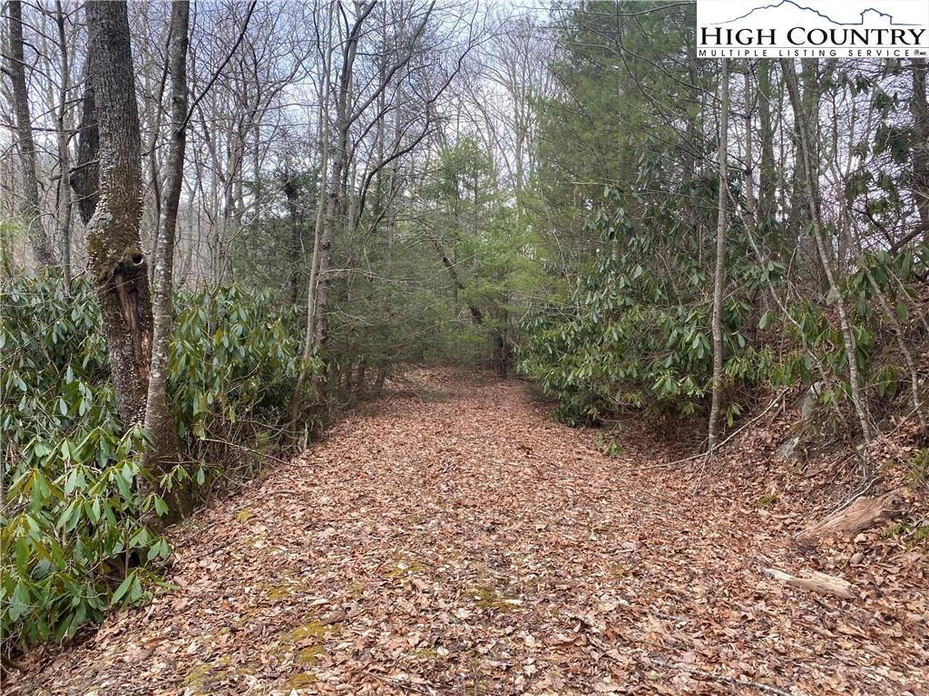 Image number 7 for the current listing