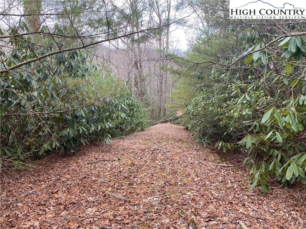 Image number 8 for the current listing