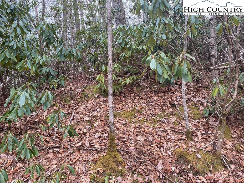 Image number 9 for the current listing