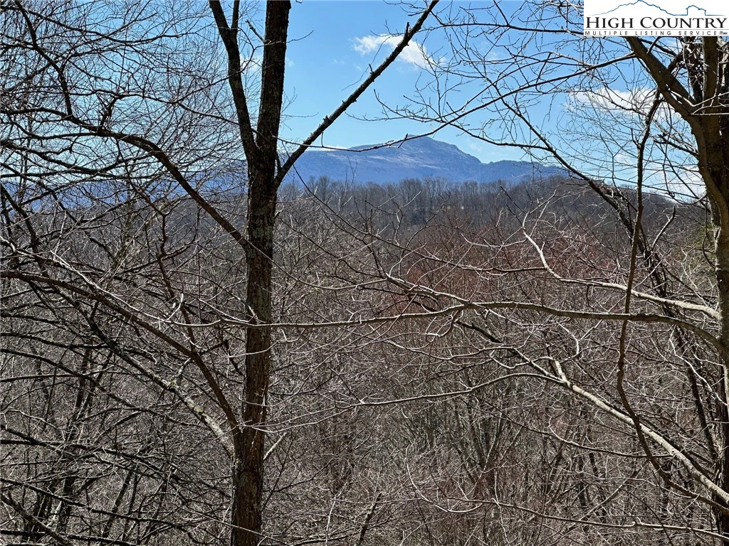 Image number 1 for the current listing