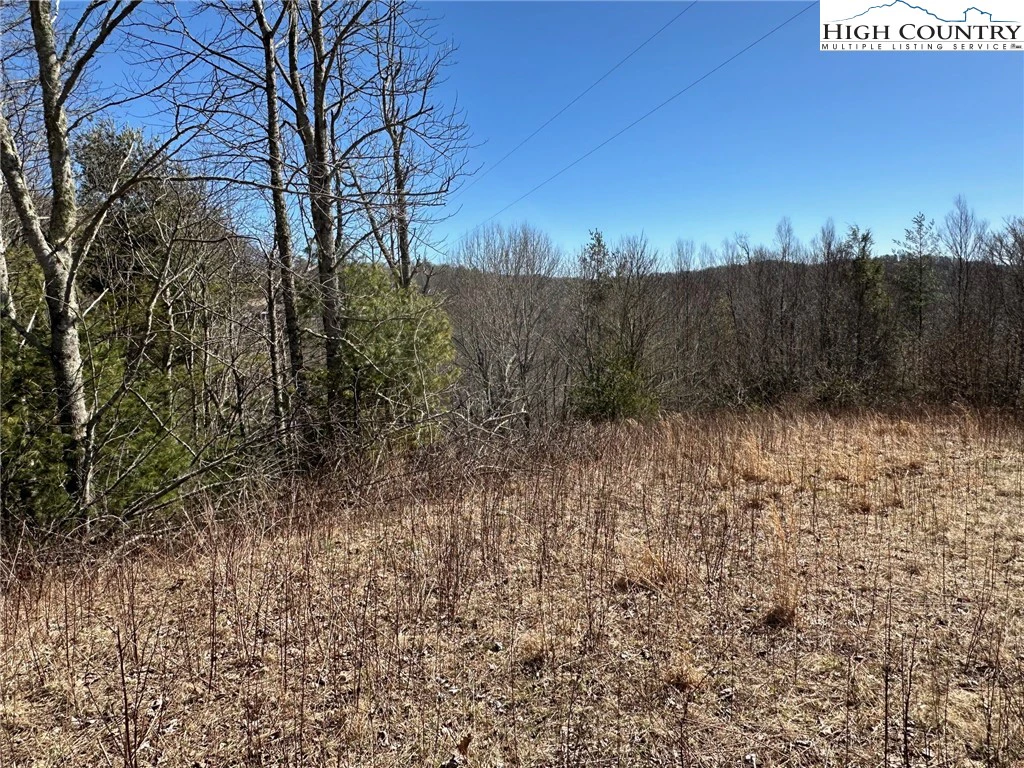 Image number 3 for the current listing