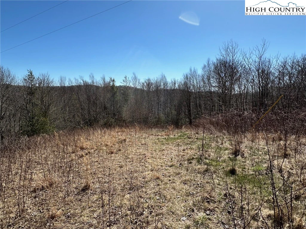 Image number 4 for the current listing