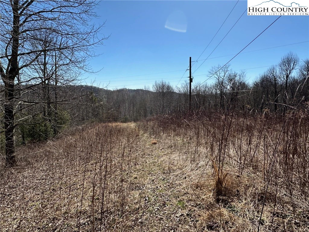 Image number 5 for the current listing