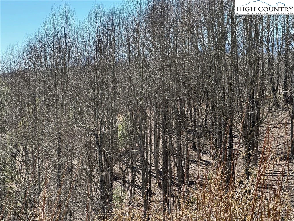 Image number 11 for the current listing