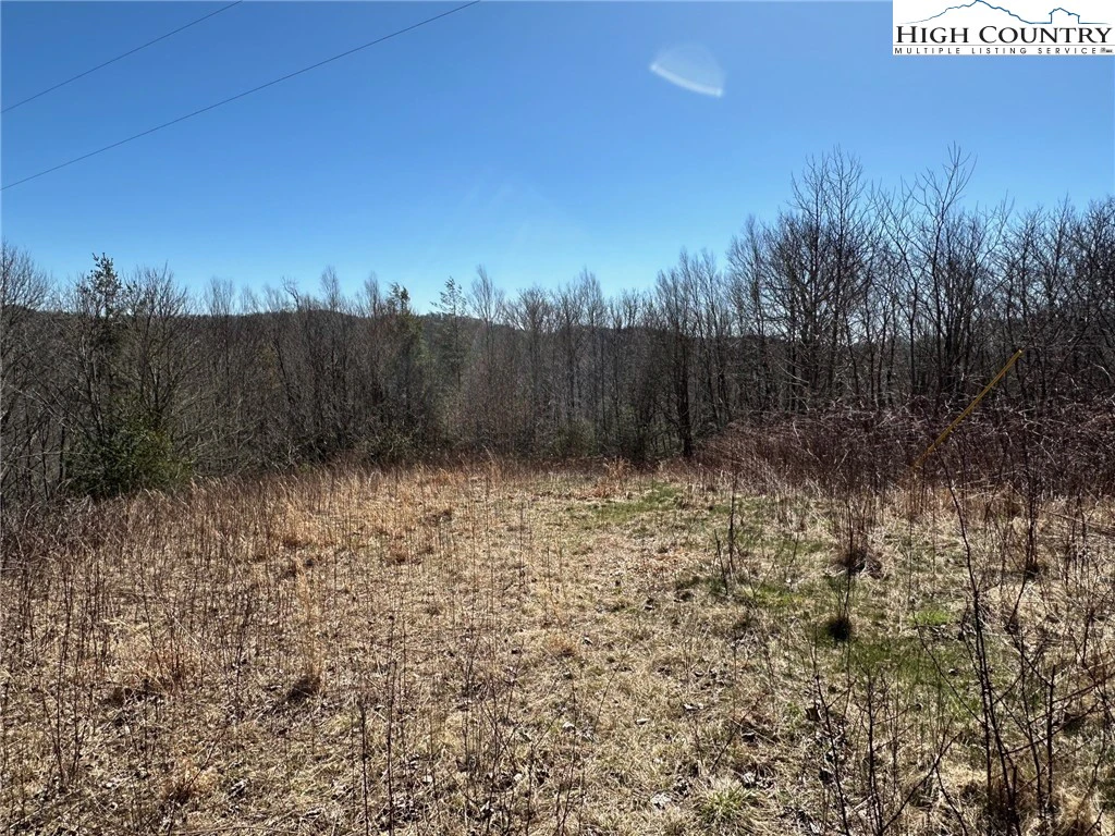 Image number 14 for the current listing