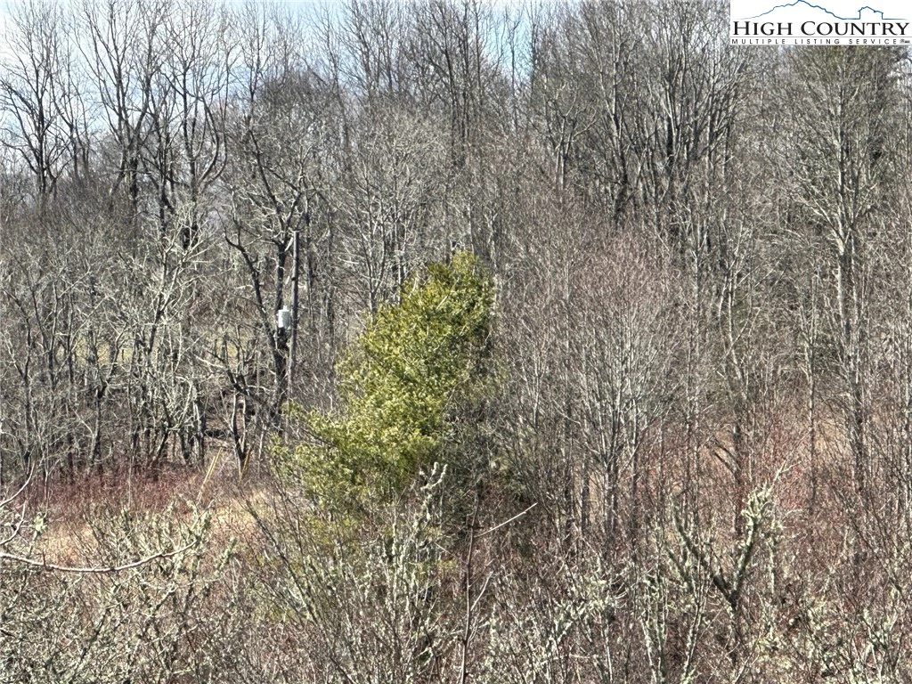 Image number 15 for the current listing
