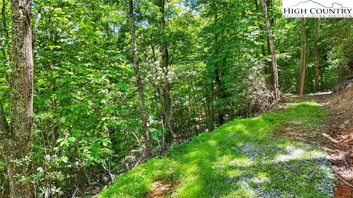 Image number 13 for the current listing