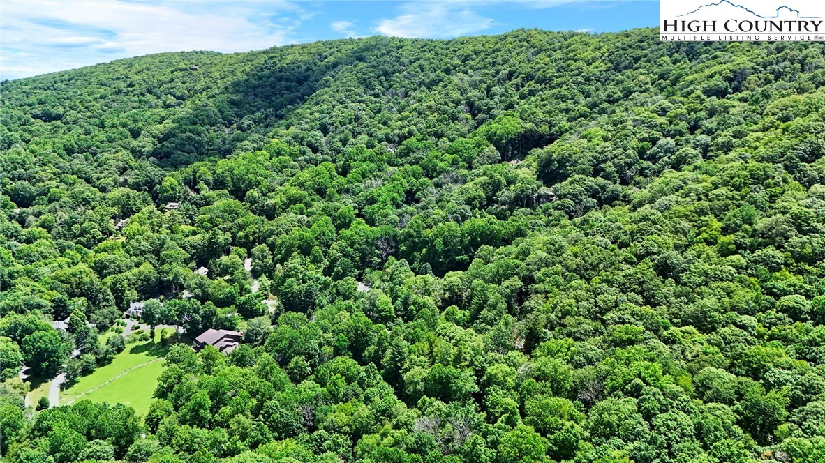 Image number 2 for the current listing