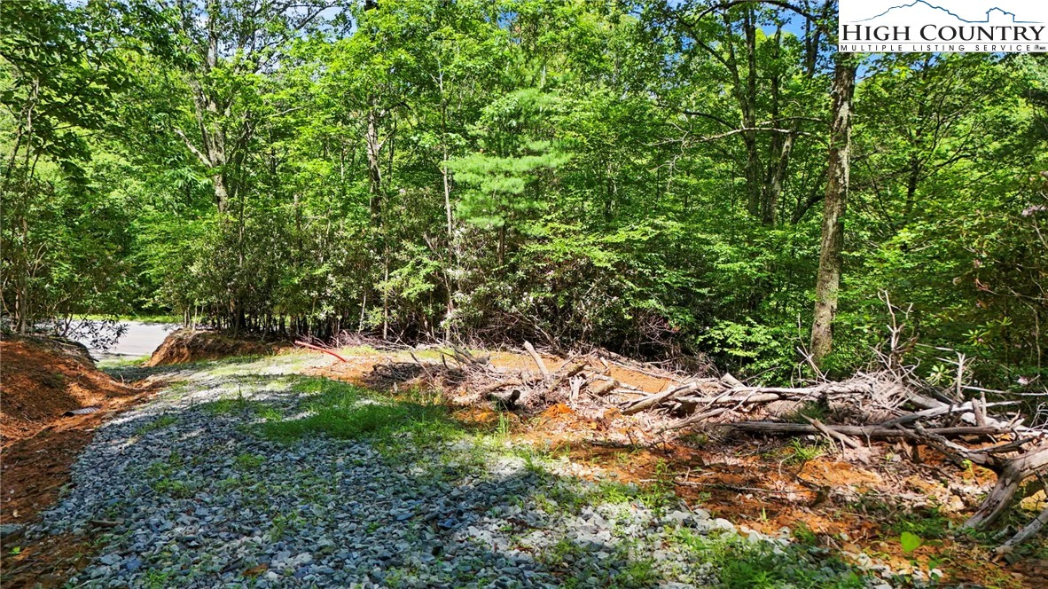 Image number 14 for the current listing
