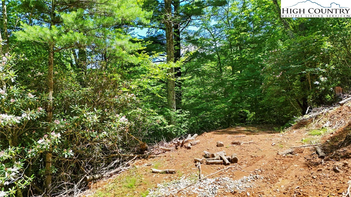 Image number 7 for the current listing