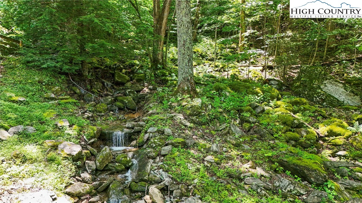 Image number 4 for the current listing