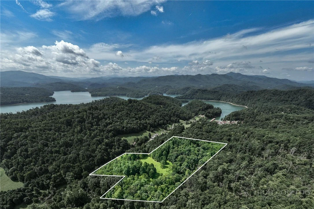 Image number 1 for the current listing