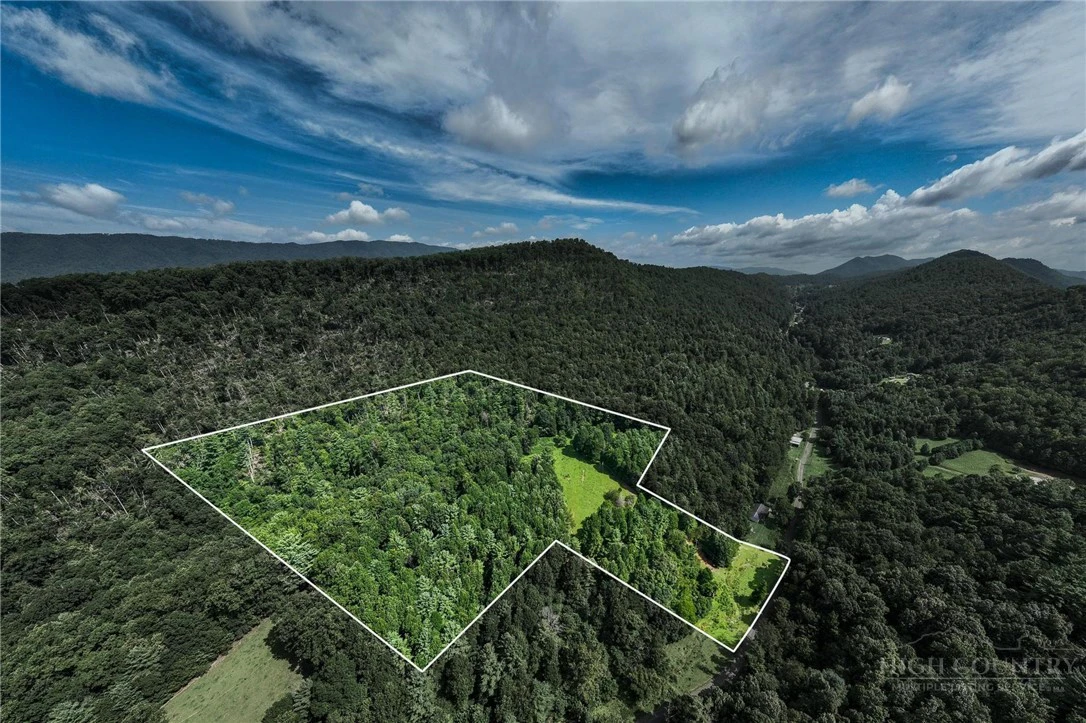 Image number 4 for the current listing