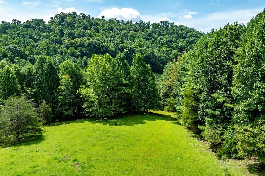 Image number 7 for the current listing
