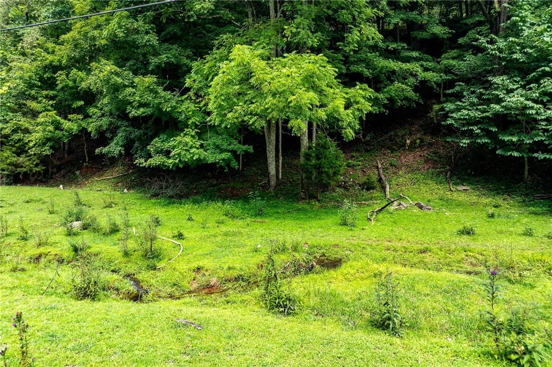 Image number 16 for the current listing