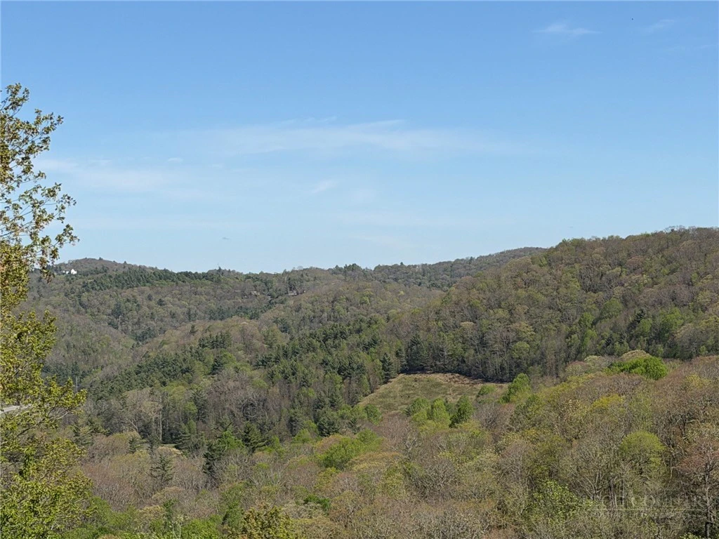Image number 3 for the current listing
