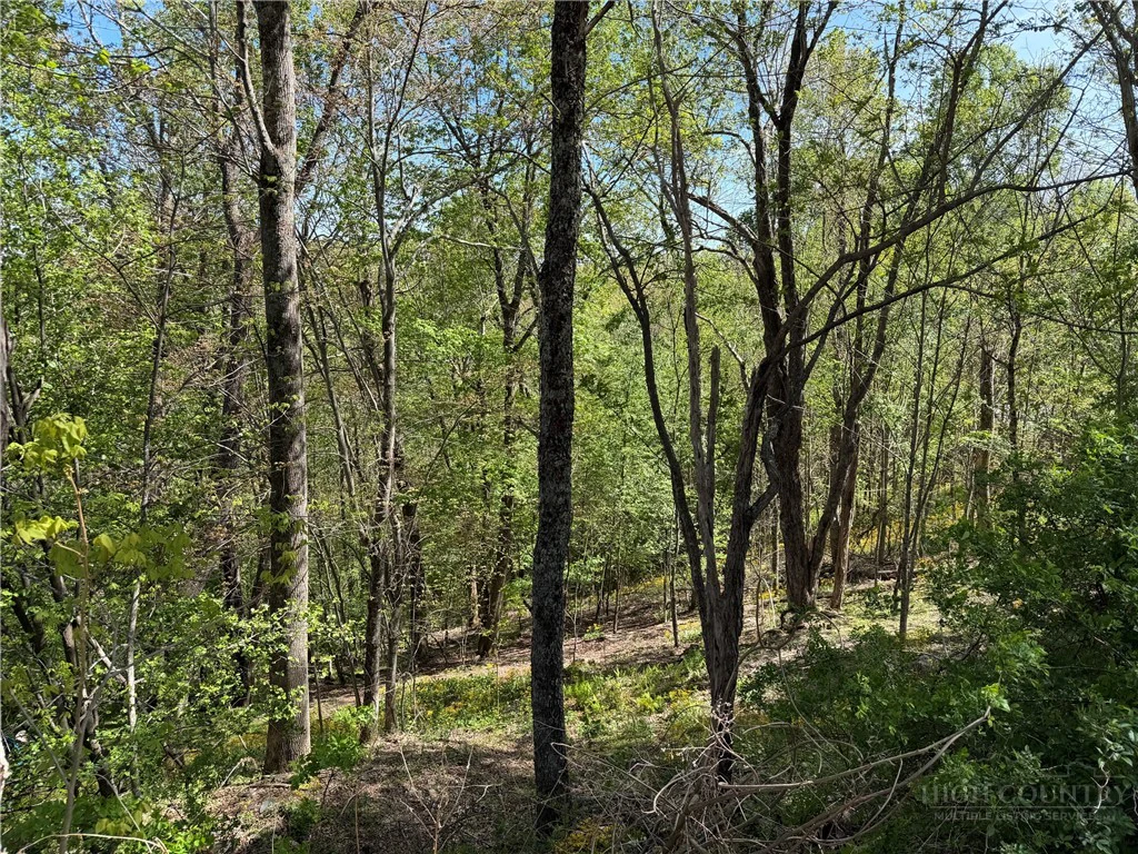 Image number 4 for the current listing