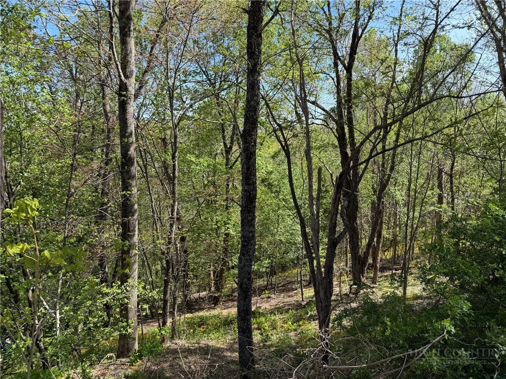 Image number 8 for the current listing