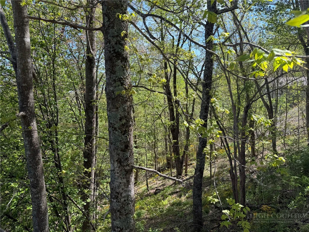 Image number 9 for the current listing