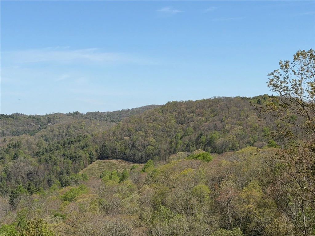 Image number 11 for the current listing