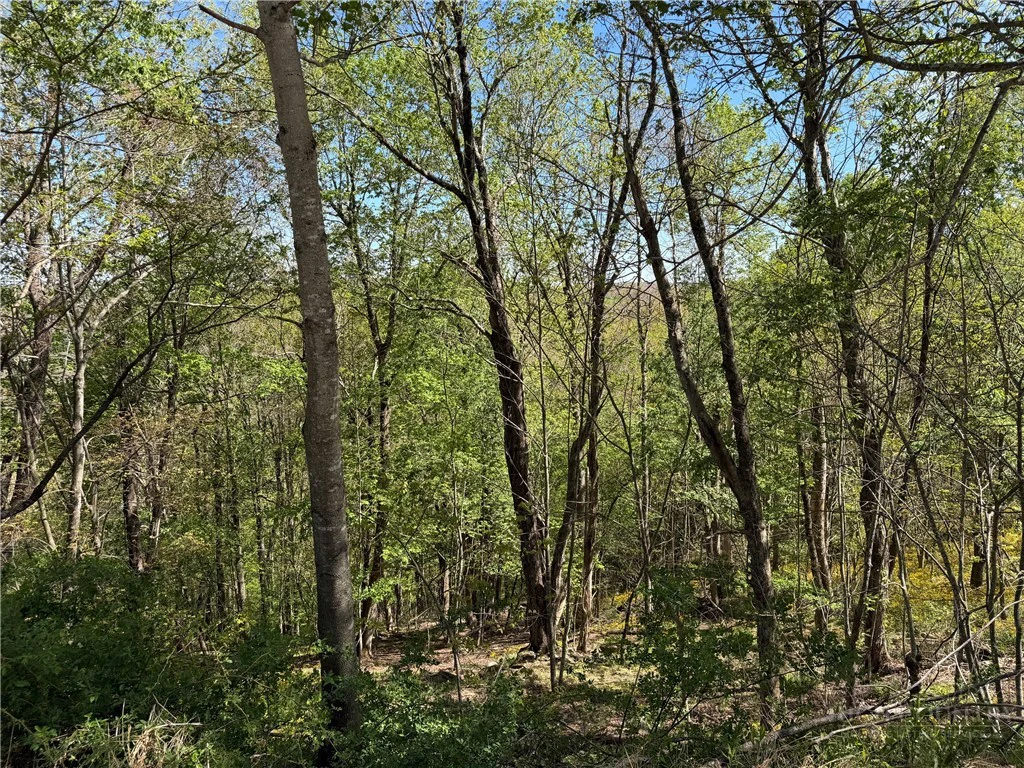 Image number 12 for the current listing