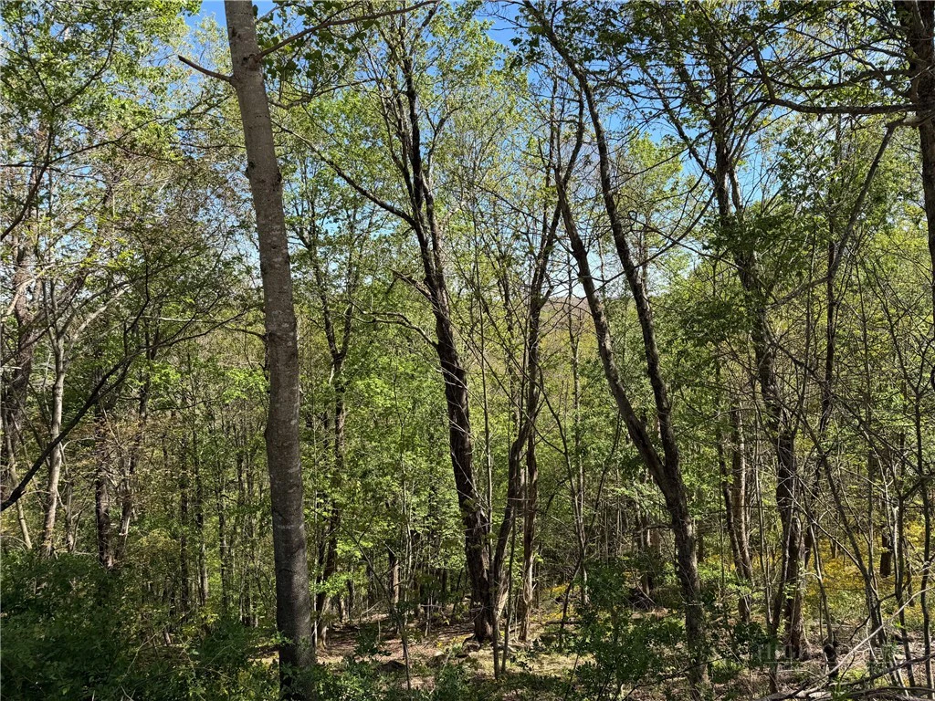 Image number 13 for the current listing