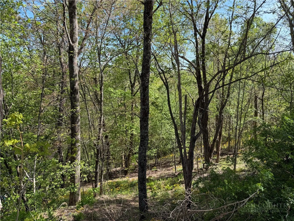 Image number 14 for the current listing