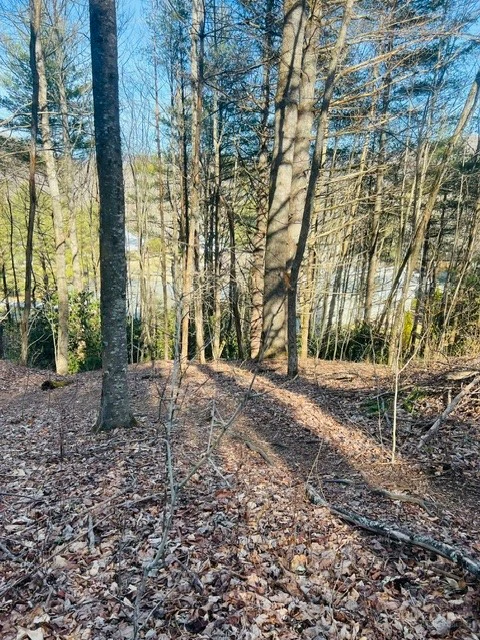Image number 1 for the current listing