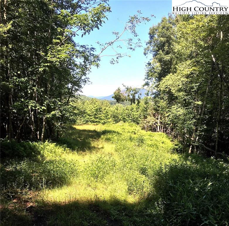 Image number 3 for the current listing
