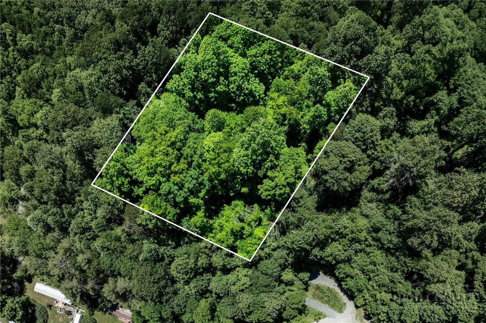 Image number 1 for the current listing
