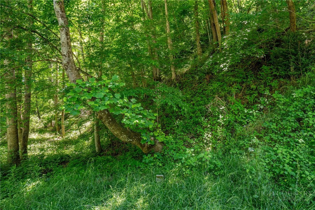 Image number 21 for the current listing