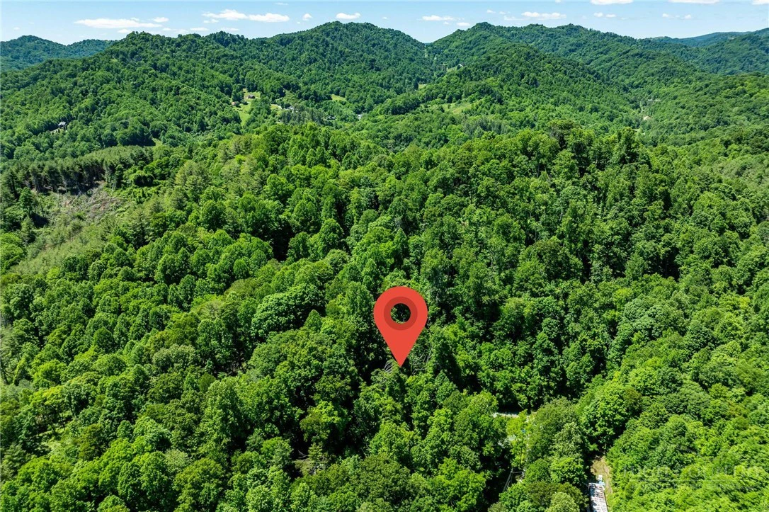 Image number 4 for the current listing