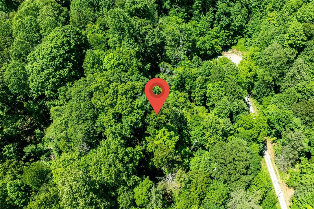 Image number 14 for the current listing