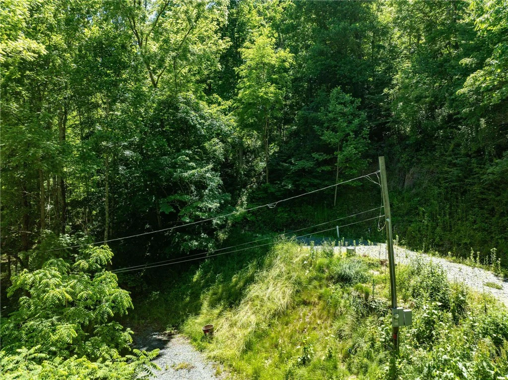 Image number 18 for the current listing