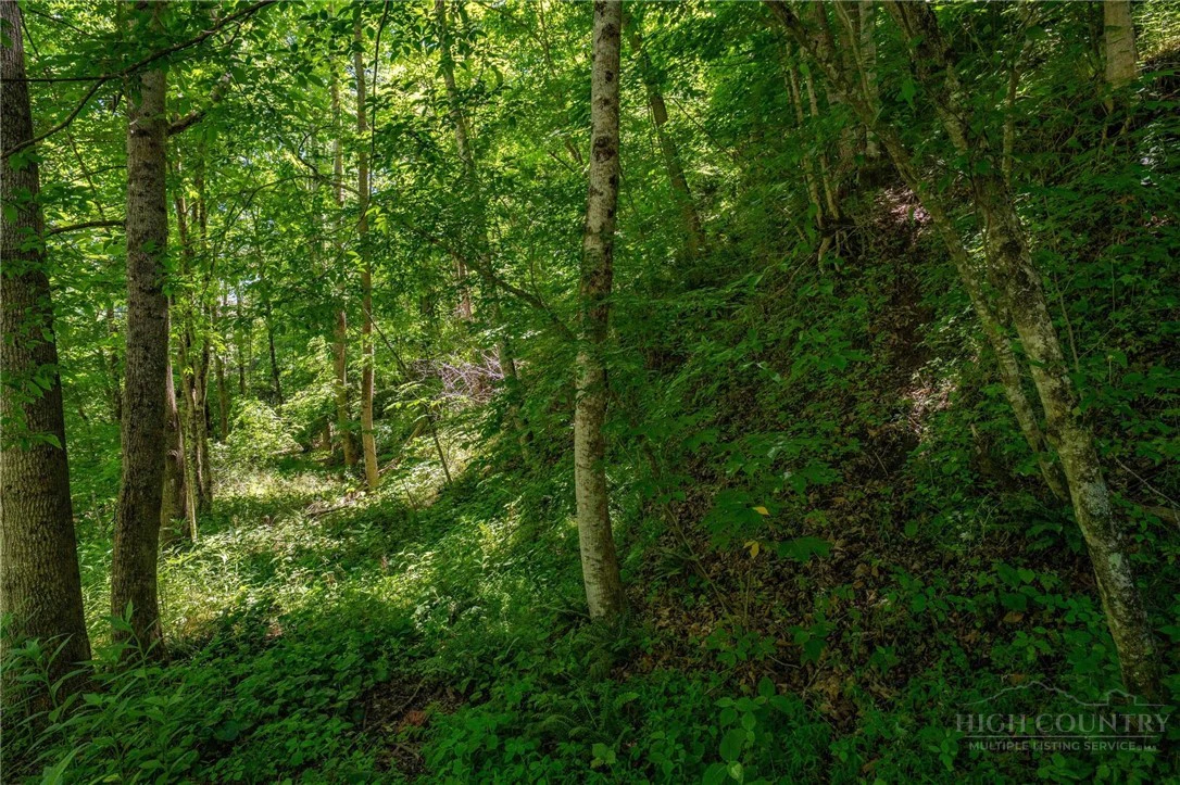 Image number 16 for the current listing
