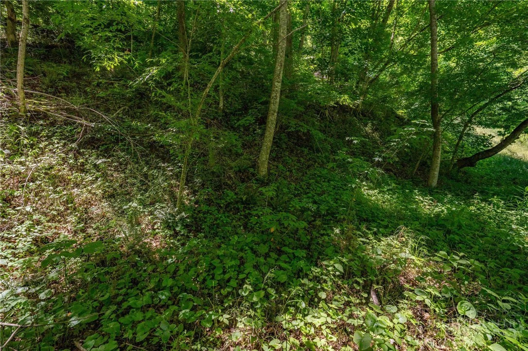 Image number 19 for the current listing