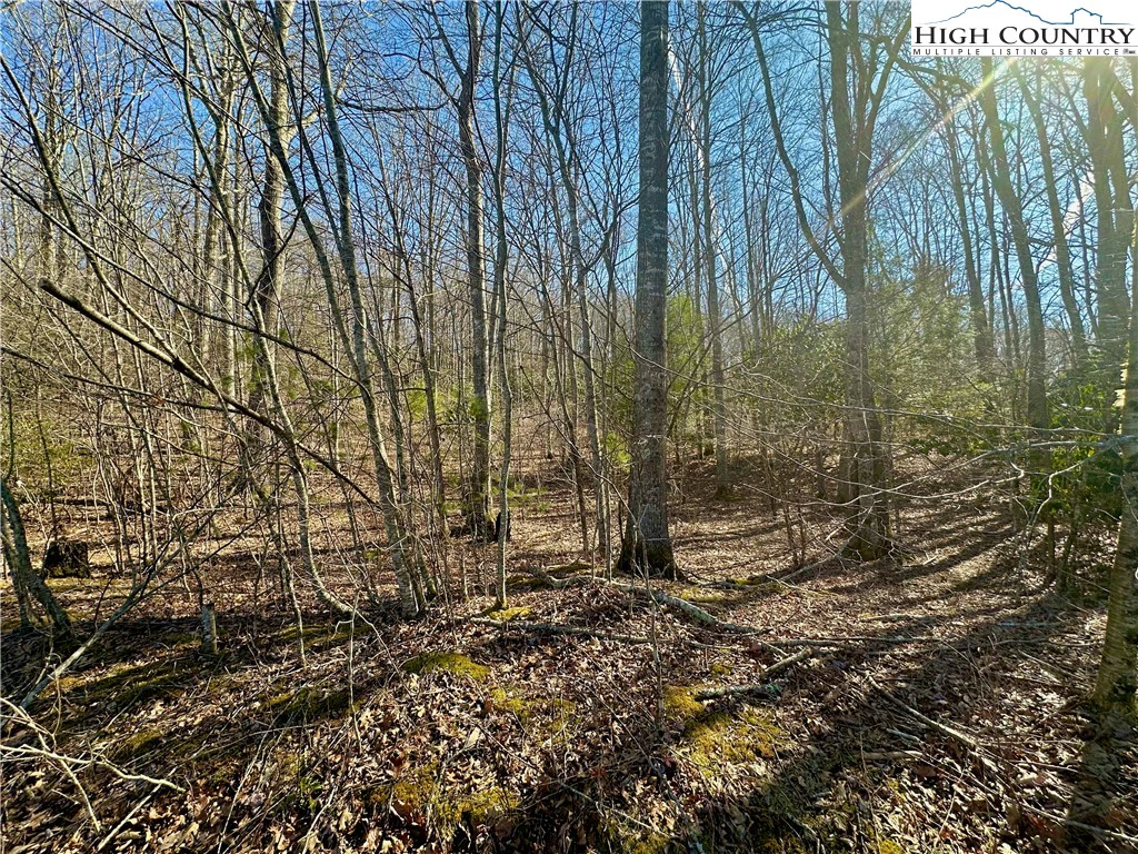 Image number 9 for the current listing