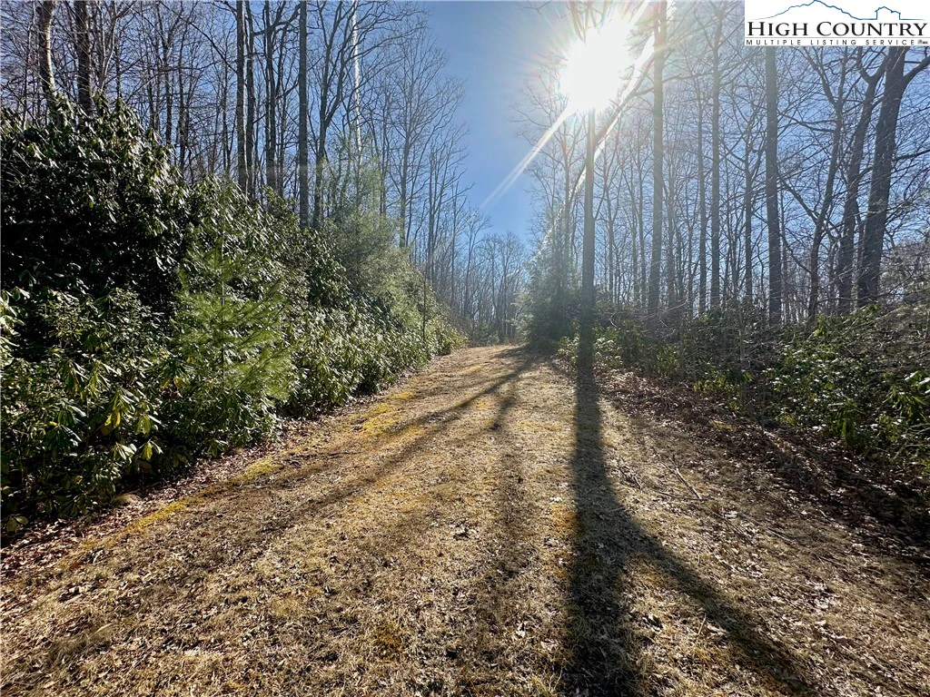 Image number 8 for the current listing