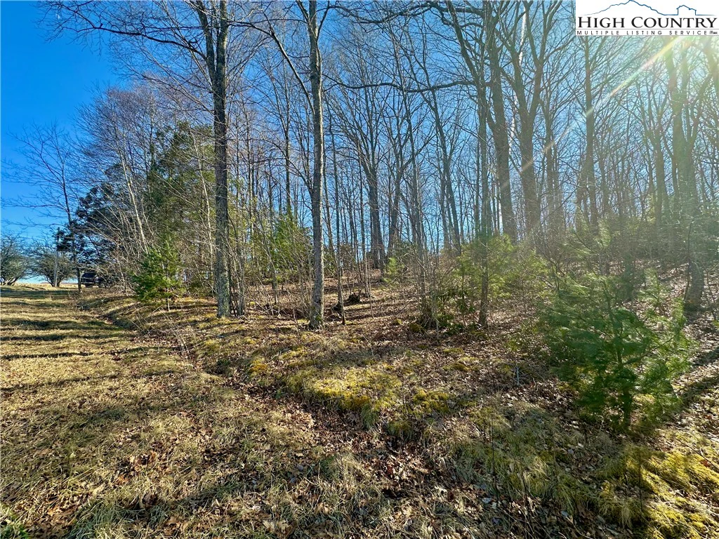 Image number 7 for the current listing