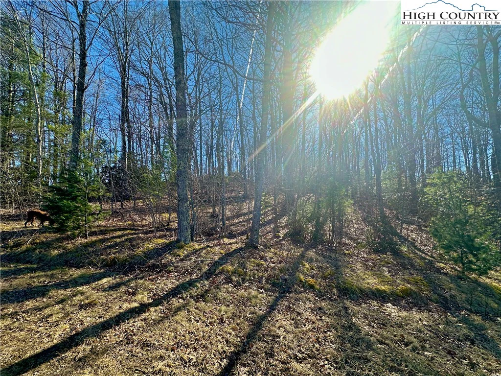 Image number 6 for the current listing