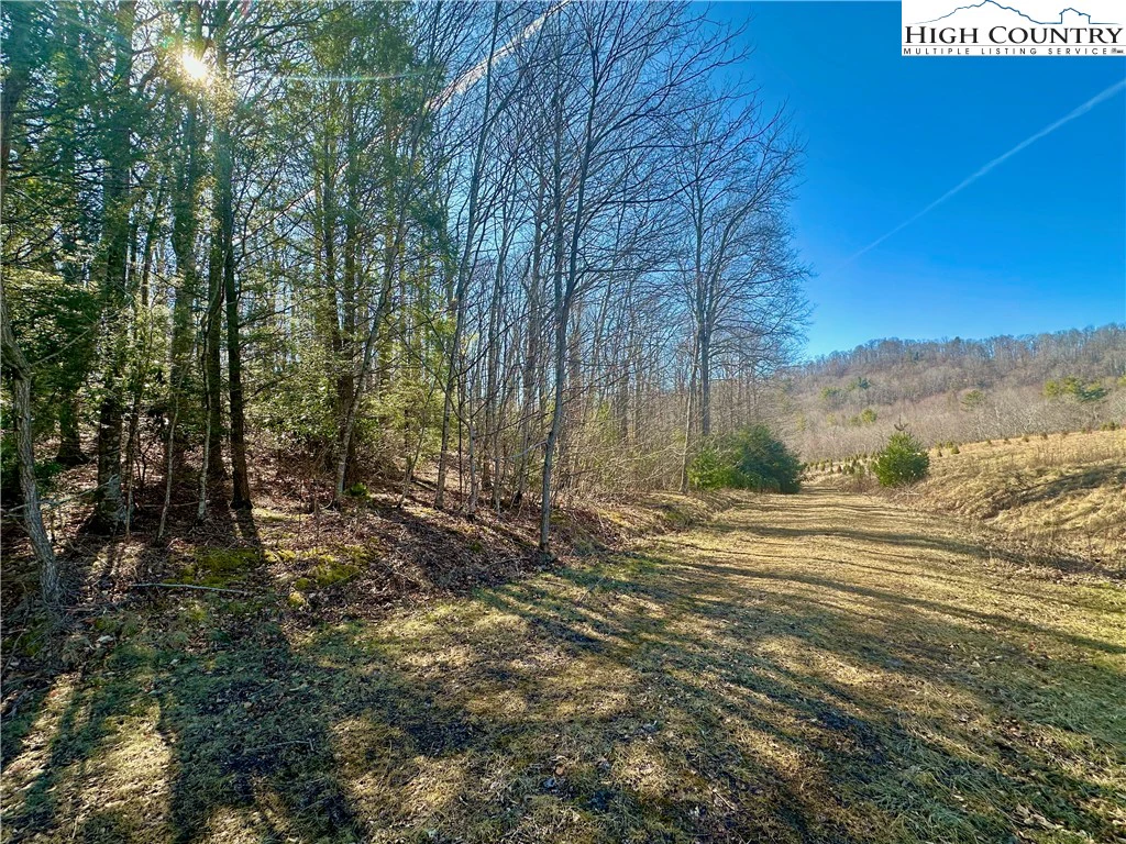 Image number 5 for the current listing