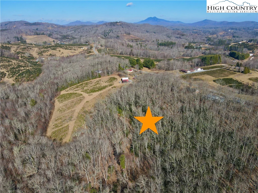 Image number 1 for the current listing