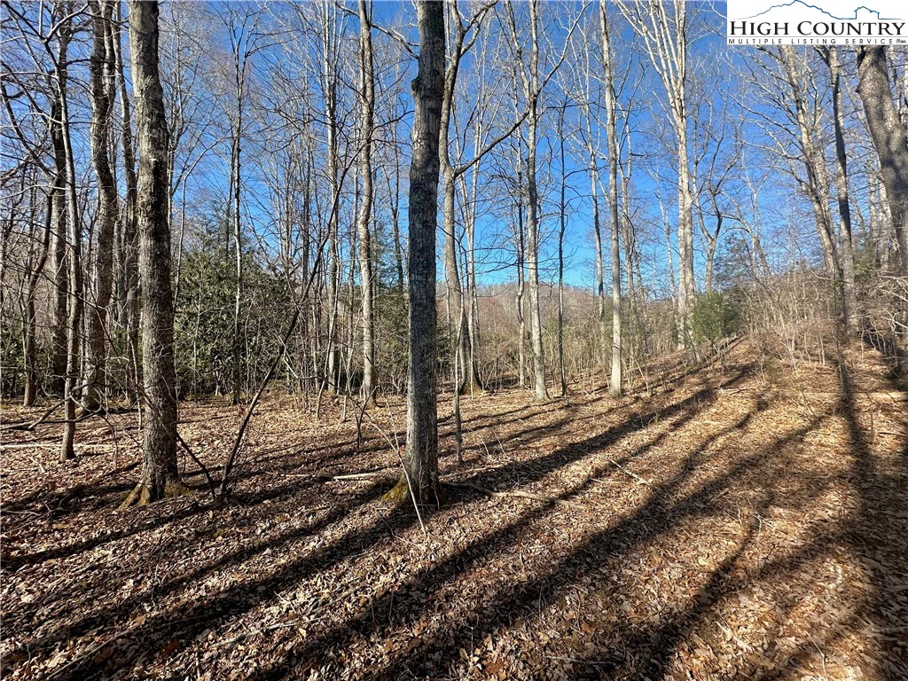 Image number 2 for the current listing