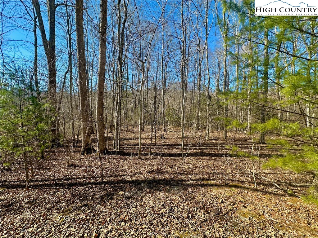 Image number 14 for the current listing