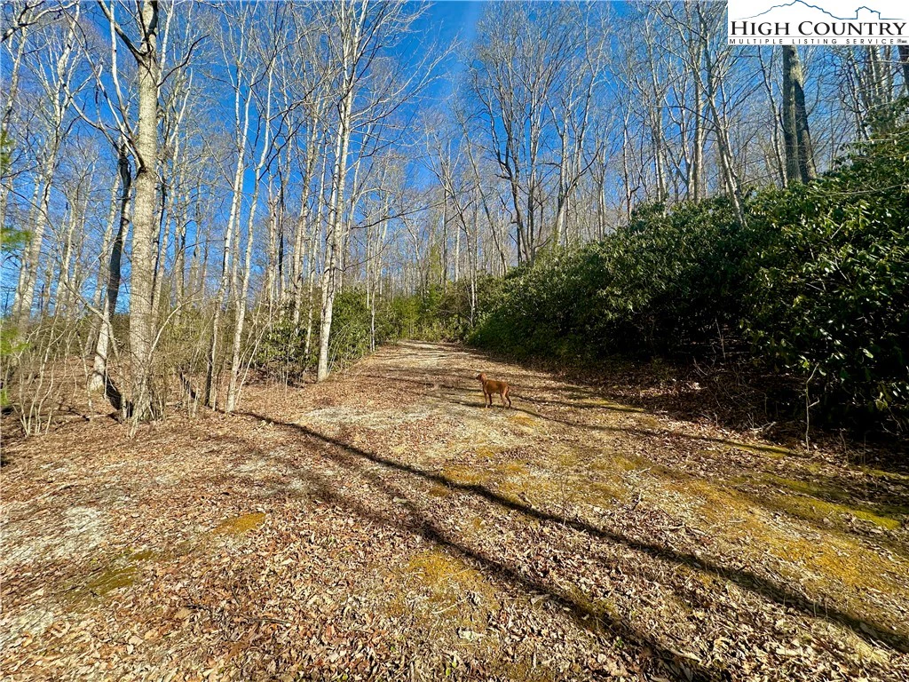 Image number 13 for the current listing