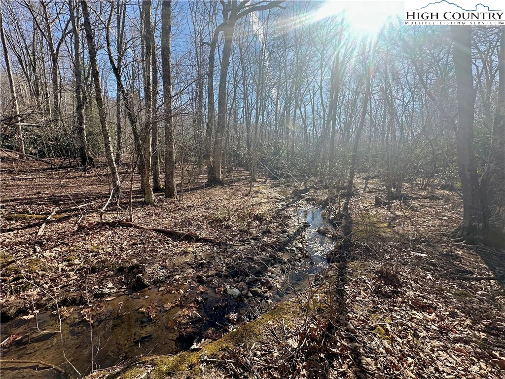 Image number 12 for the current listing