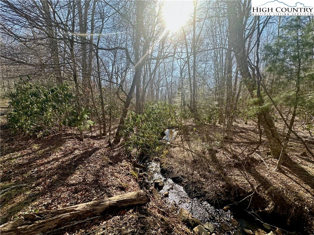 Image number 11 for the current listing
