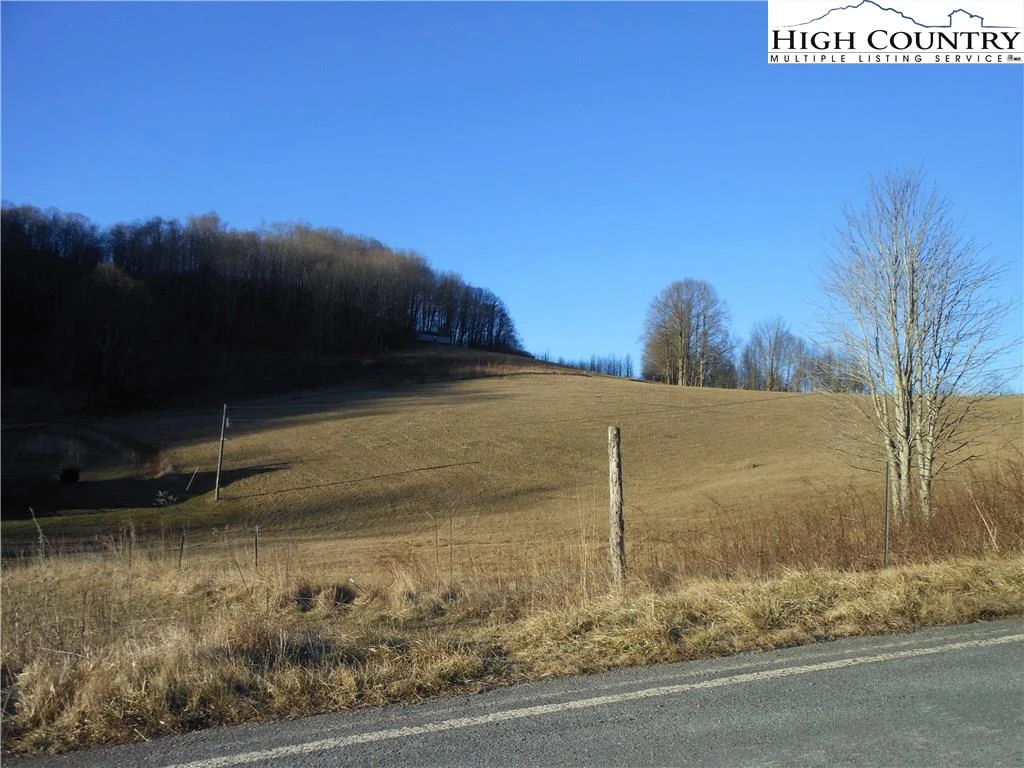 Image number 1 for the current listing
