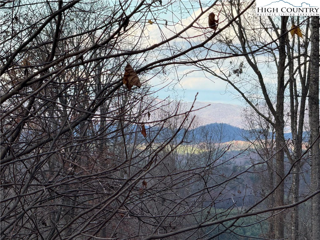 Image number 1 for the current listing